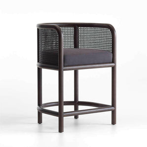 Fields Charcoal Cane Counter Stool by Leanne Ford.