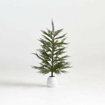 Faux Potted Cypress Tree 33" NO PUBLICAR.